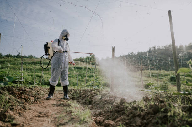 Best Best Pest Control Companies  in Tlassee, AL
