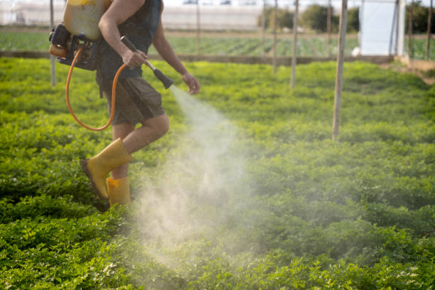 Best Commercial Pest Control Services  in Tlassee, AL