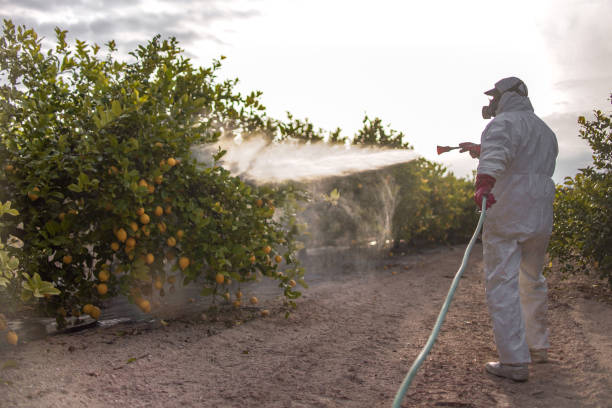 Best Termite Control Services  in Tlassee, AL
