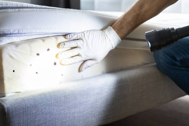 Trusted Tallassee, AL Pest Control Experts
