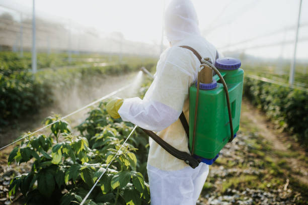 Best Pest Control Near Me in Tallassee, AL